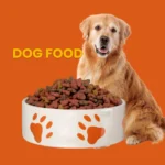 A Golden Retriever sitting behind a large white bowl filled with kibble, featuring orange paw prints on an orange background with "DOG FOOD" text.