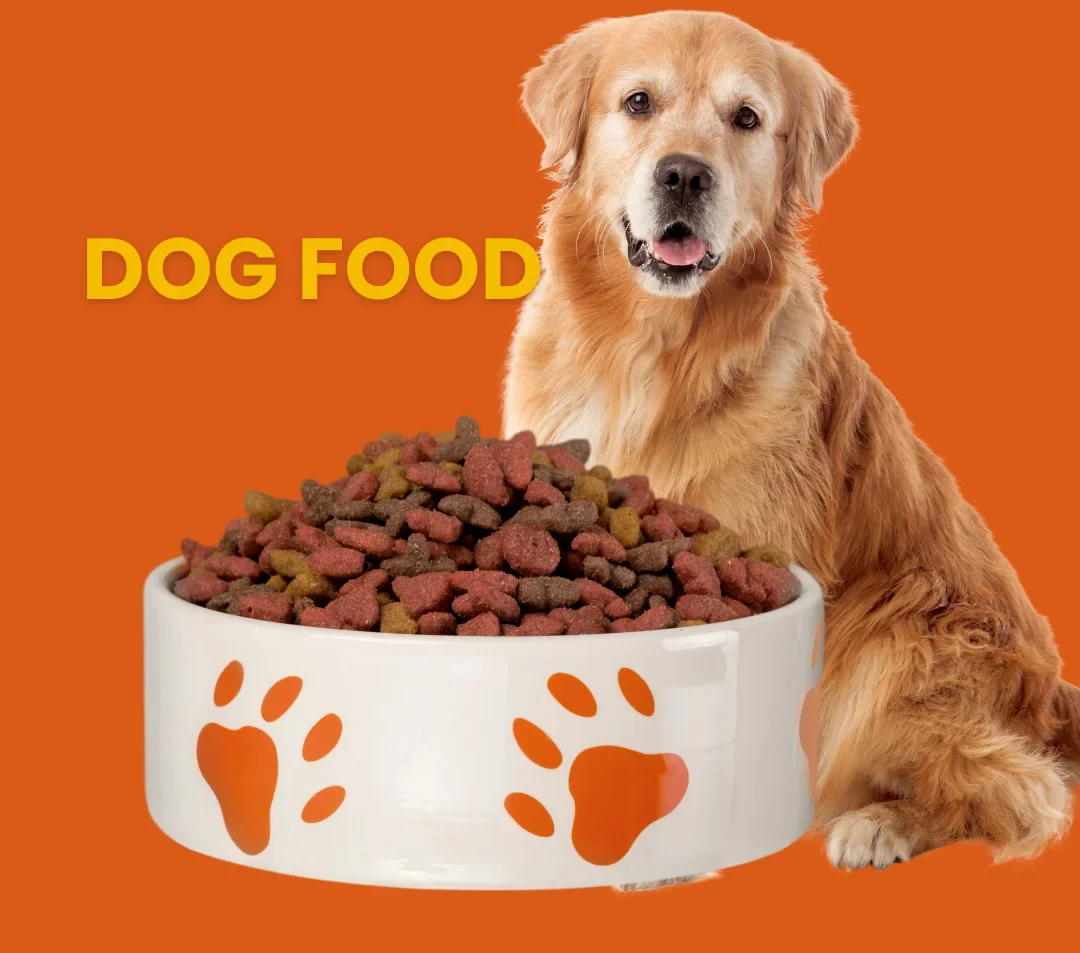 A Golden Retriever sitting behind a large white bowl filled with kibble, featuring orange paw prints on an orange background with "DOG FOOD" text.